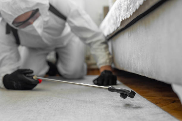 Professional Termite Control technician working in Sergeant Bluff, IA